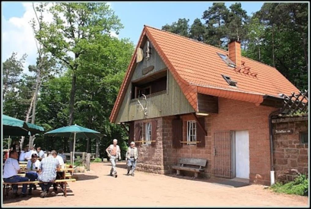 Ferienwohnung Jungpfalzstieg Rinnthal エクステリア 写真