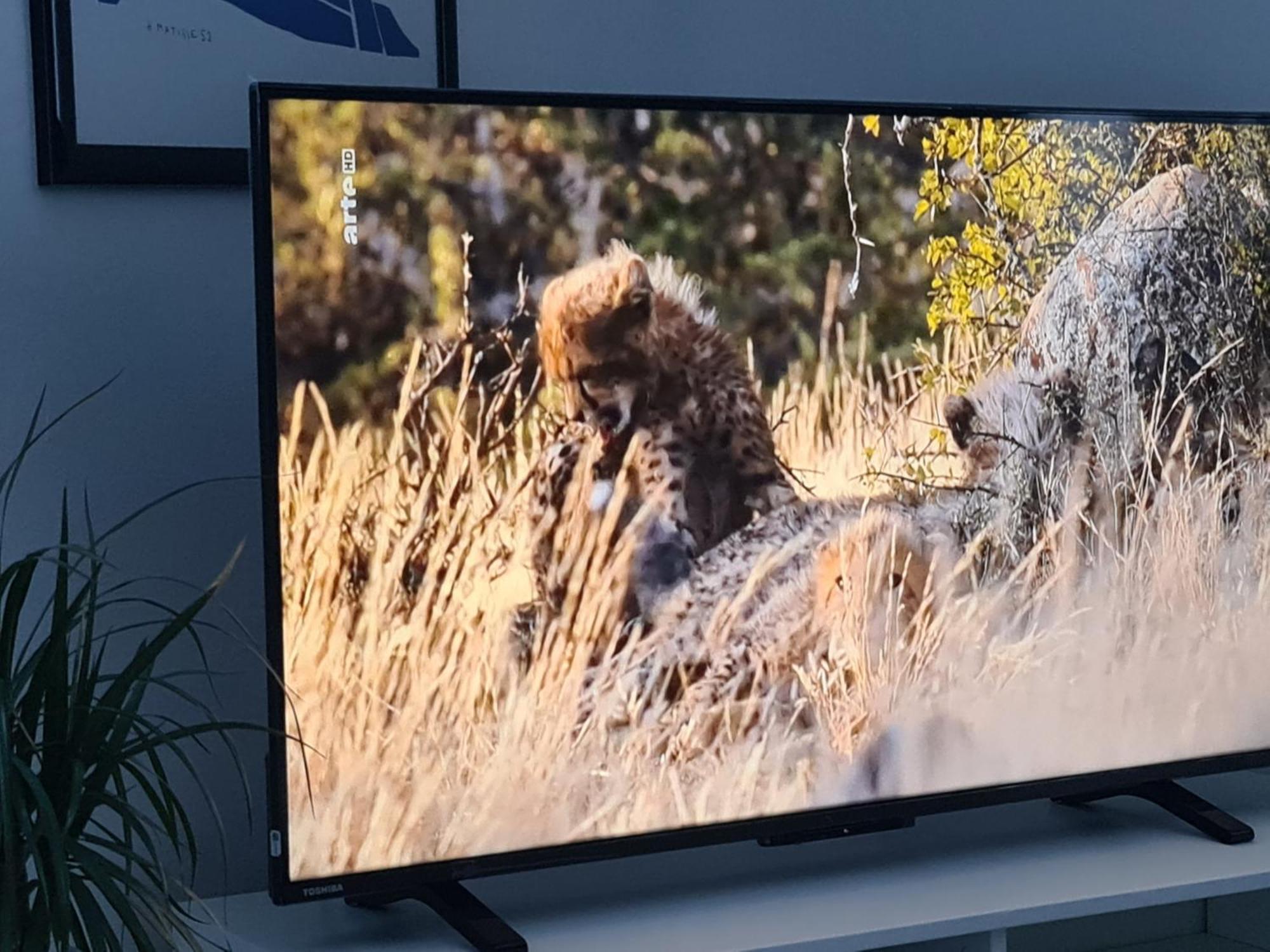 Ferienwohnung Jungpfalzstieg Rinnthal エクステリア 写真